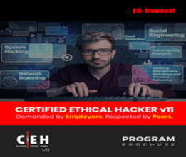 Regular Classroom Course: Ethical  Hacking Programming Session